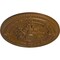 Ekena Millwork Vincent Ceiling Medallion (Fits Canopies up to 6"), Hand-Painted Smokey Topaz, 26"OD x 3"P CM26VISTF - alternate 2